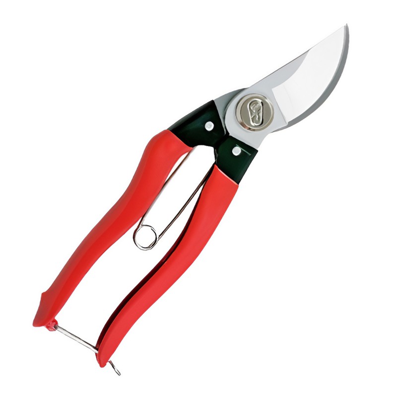 PROFESSIONAL PRUNING SHEARS