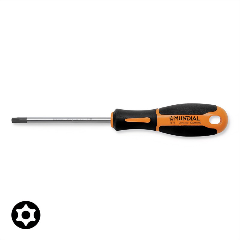 SCREWDRIVER FOR TORX WITH HOLE HEAD SCREWS 075