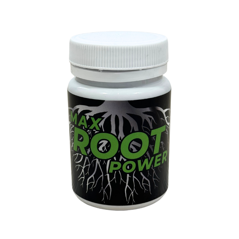 Max Root Powder (25GR)