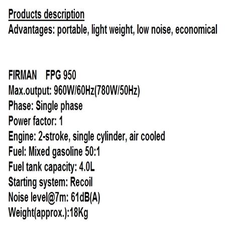 GASOLINE GENERATORS 230V/50HZ 