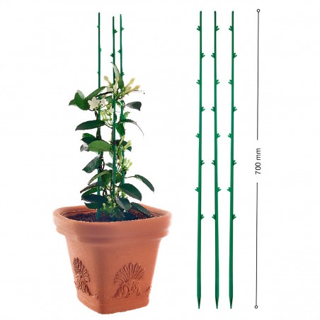 PLANT SUPPORTS 5PCS (ASTA)