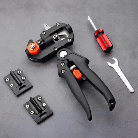 FRUIT GRAFTING PRUNE (MPOLIASTHRI)